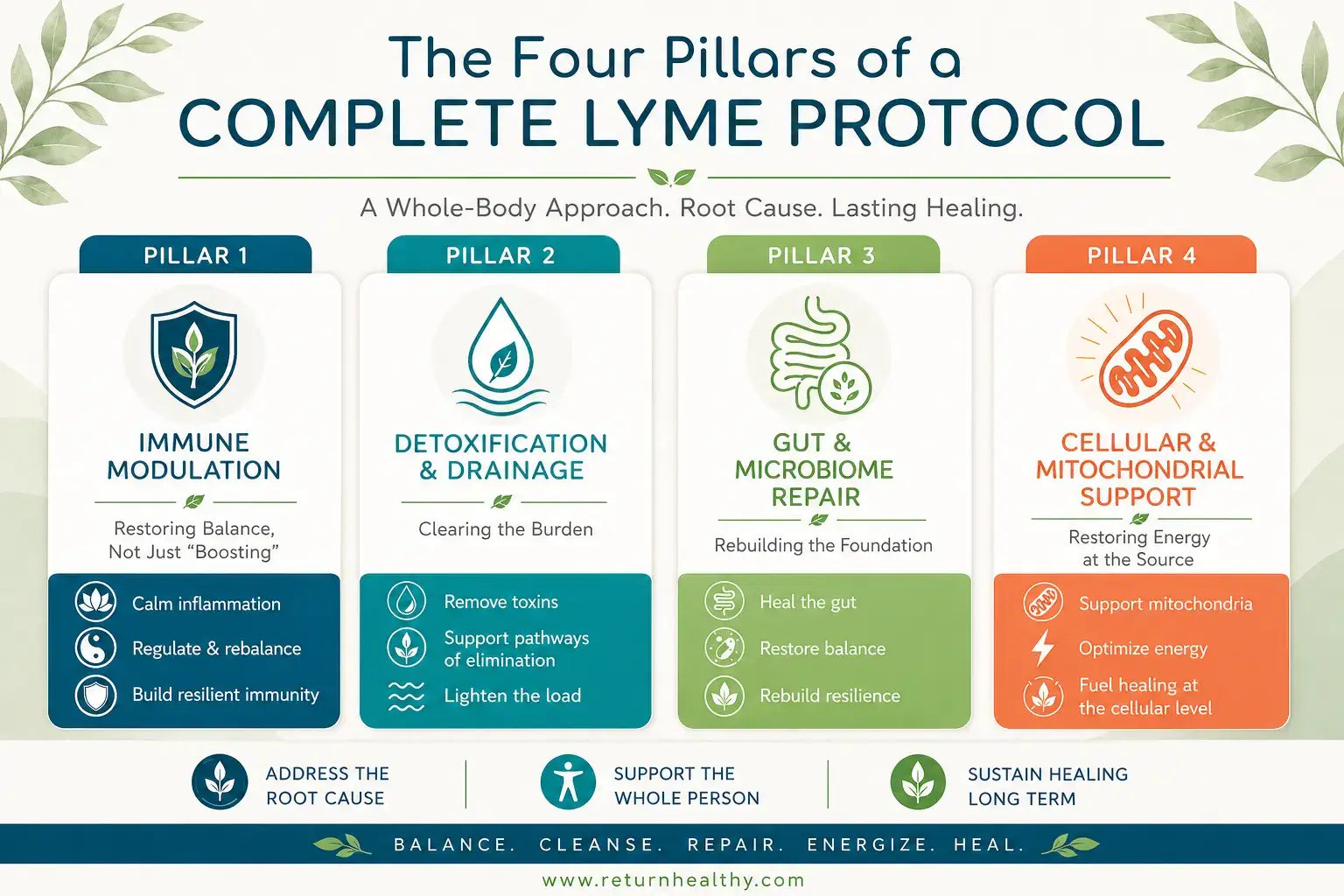 Concept of a complete Lyme protocol built around four pillars of recovery support.
