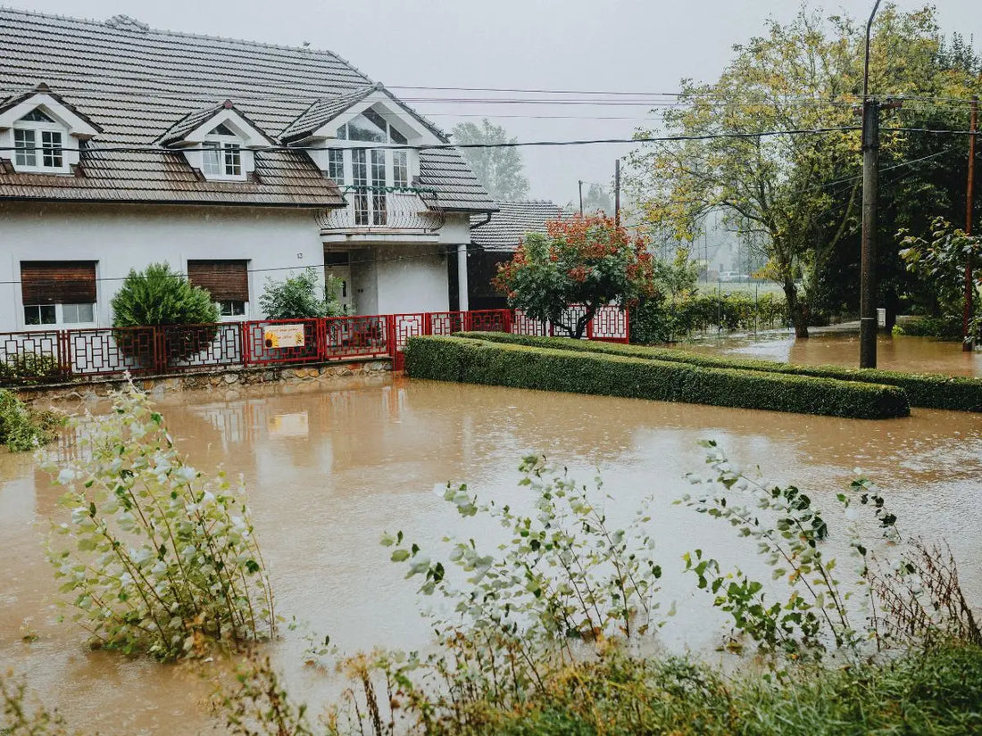 Flood-damaged home environment, illustrating mold exposure recovery after flooding in Milwaukee.