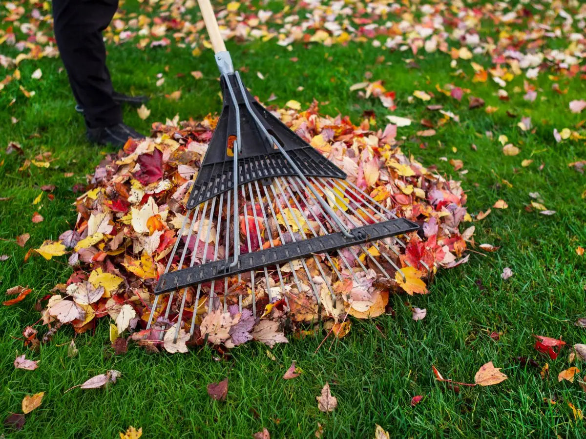 New England autumn home scene, illustrating why fall raises mold illness risk in New Hampshire.