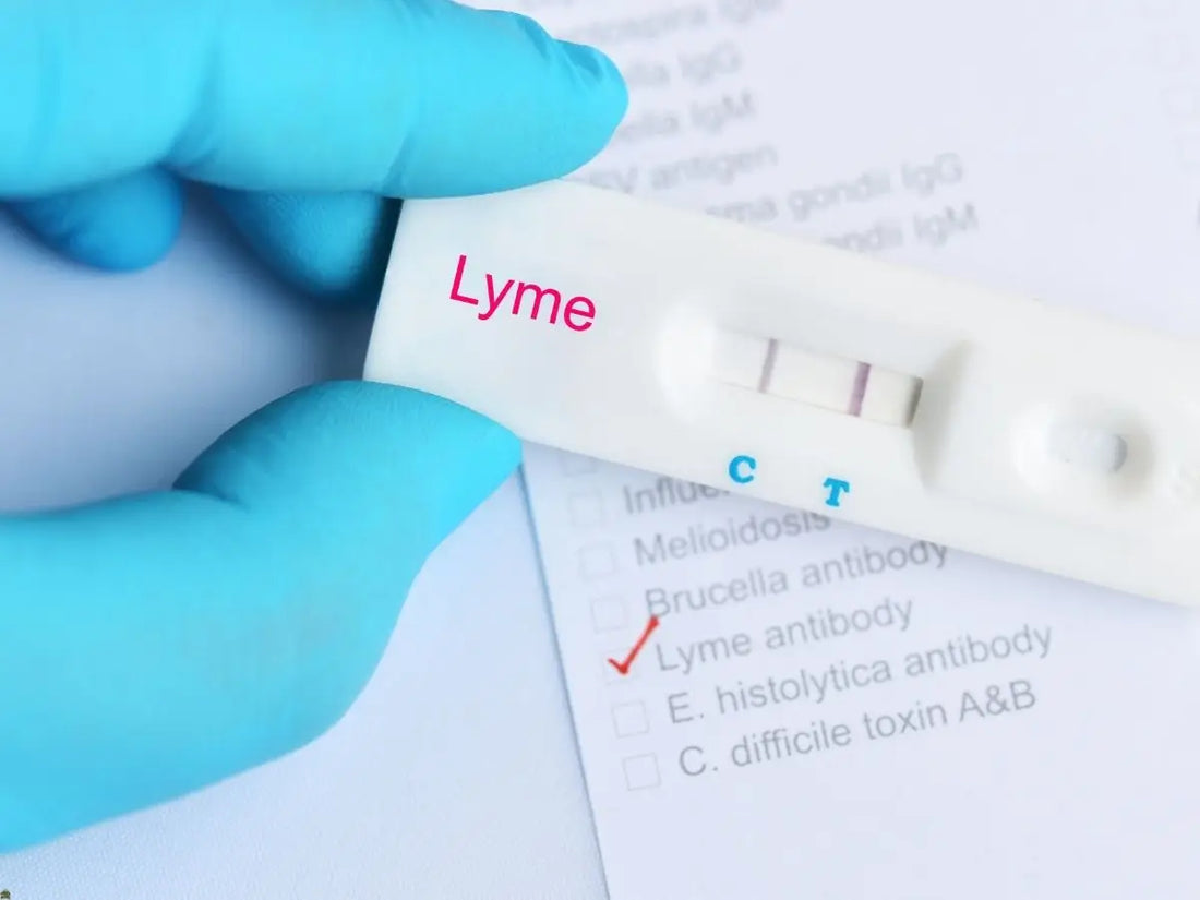 The Turning Point in Lyme Disease Support: When You’re Ready for a More Targeted Phase
