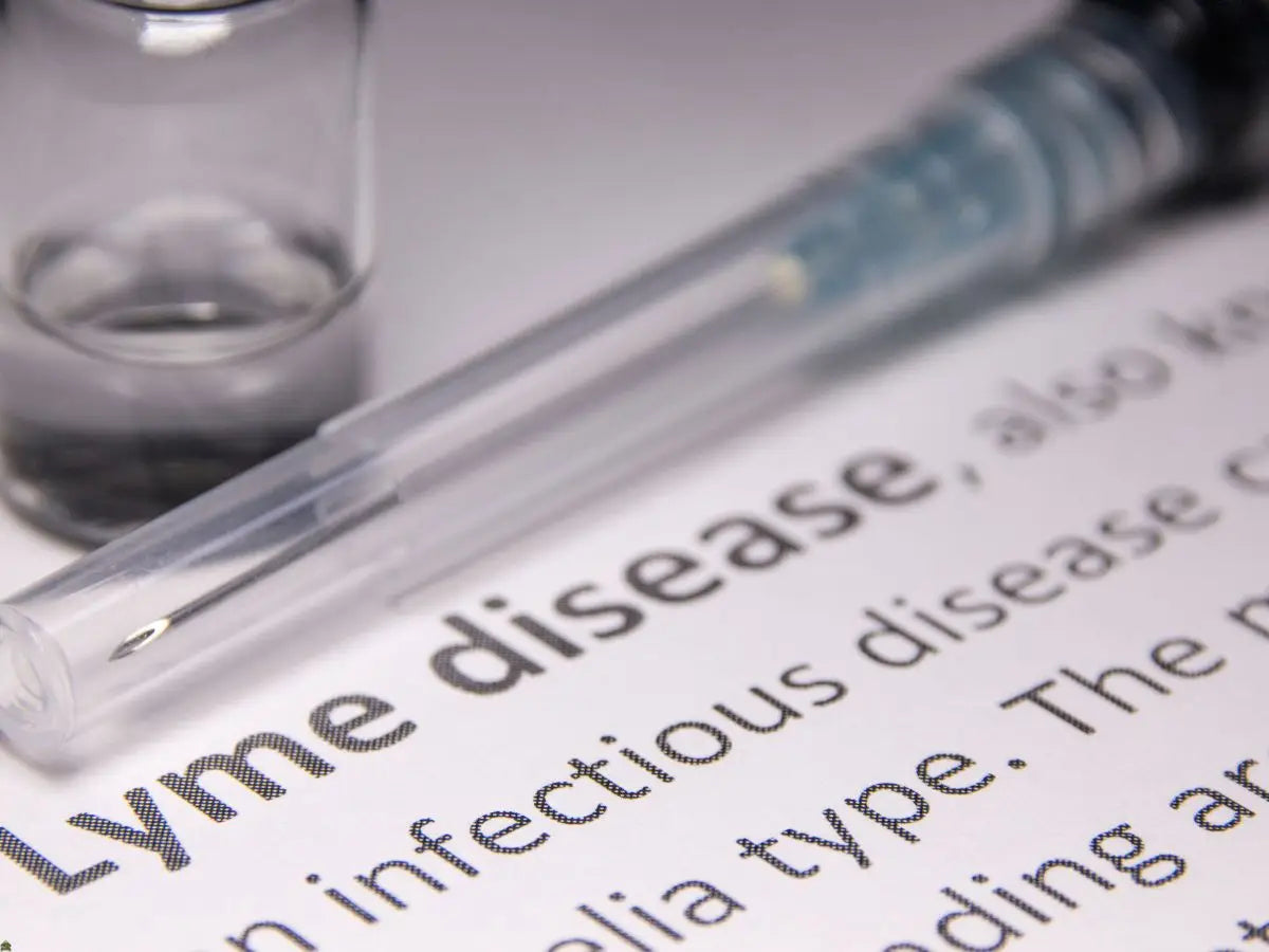 Everyday Habits That Support Lyme Recovery