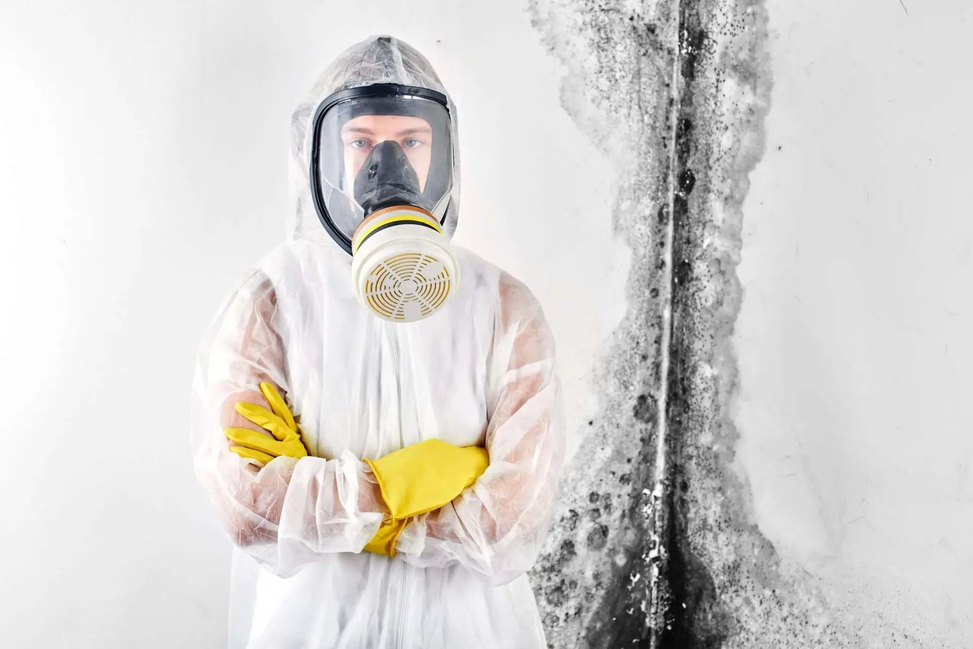Person addressing a moldy home environment, for an article on what to do about mold illness.