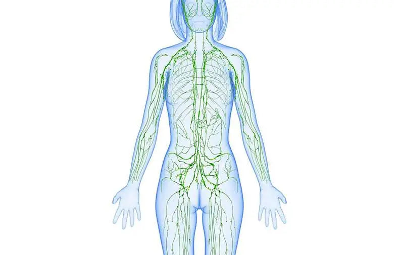 The Health Benefits of a Glutathione Supplement