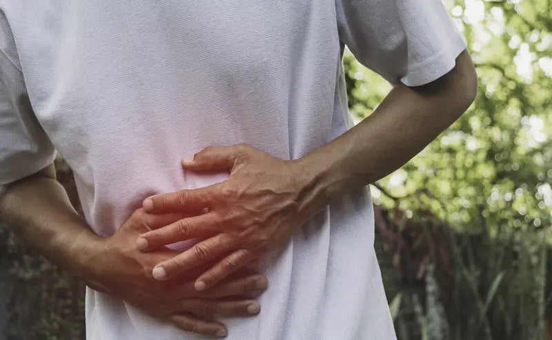 Gut health support concept, for an article with steps to soothe inflammation and boost wellness.