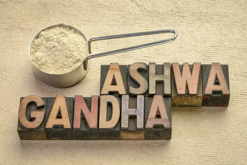 Ashwagandha root and herbal supplement, for an article on the best time to take ashwagandha.