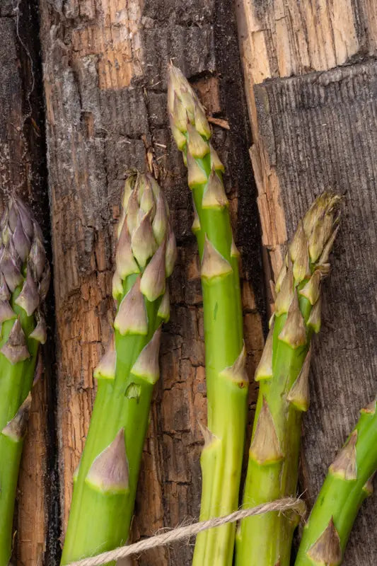 Glutathione-rich foods, illustrating an article on the best dietary sources of glutathione.