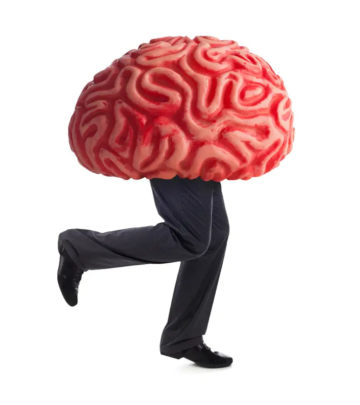 Best Herbs For Cognitive Support