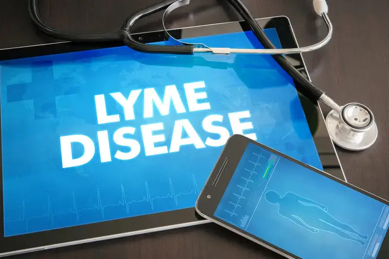 Exercise And Lyme Disease