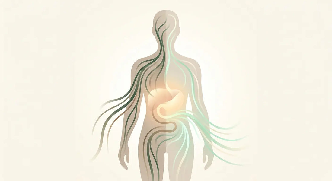 At Home Detoxification Tips
