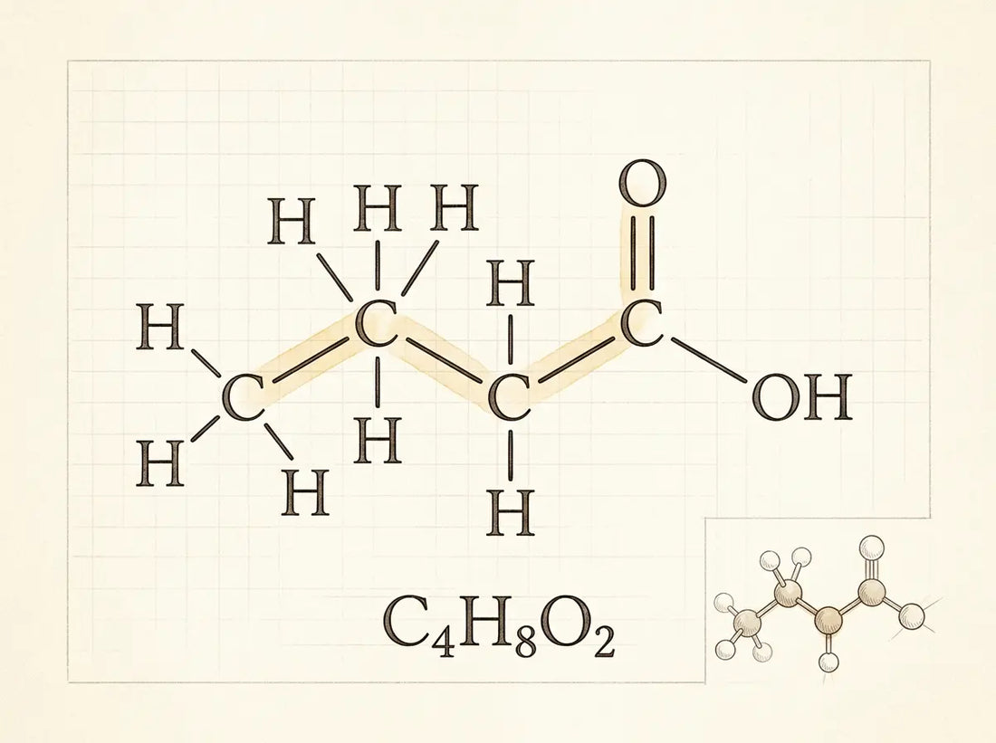 What Is Butyrate? A Complete Guide to the Short-Chain Fatty Acid That Powers Your Gut