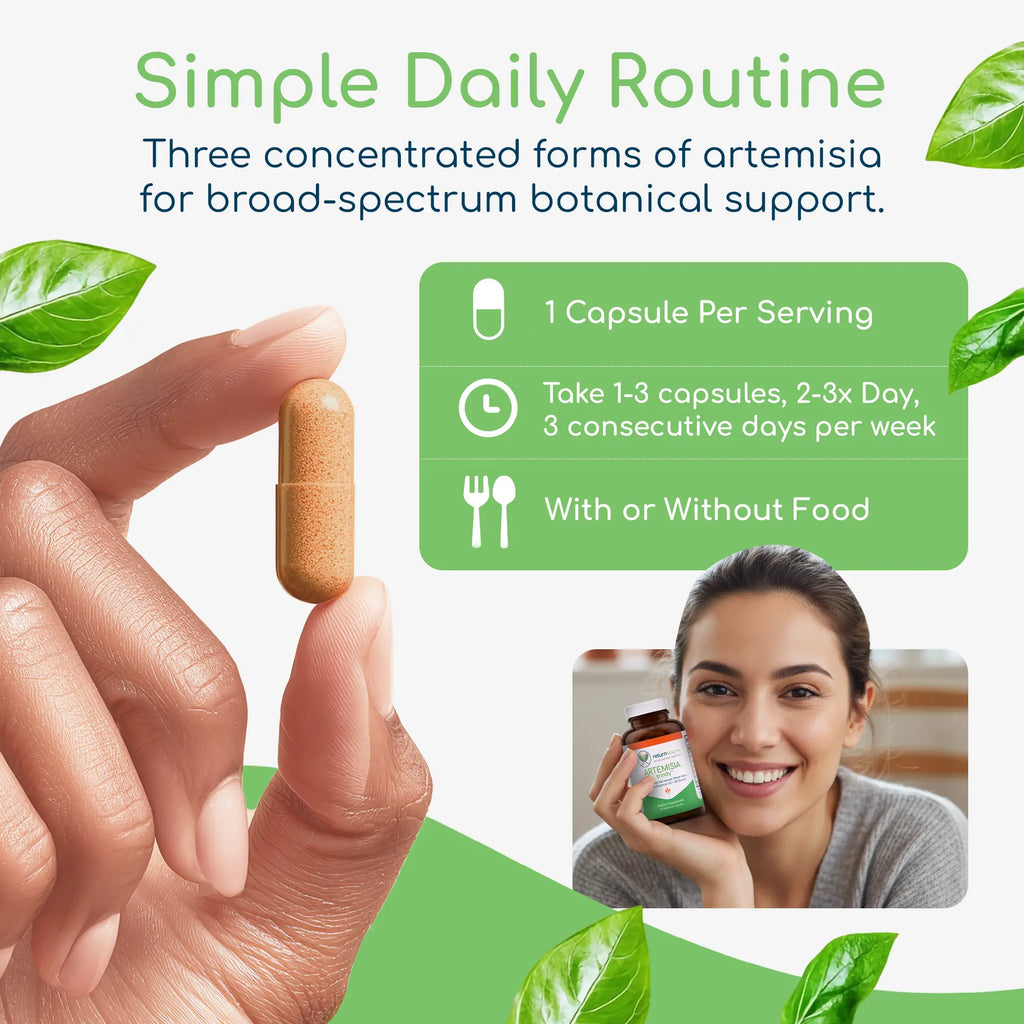 Artemisia Trinity infographic showing how its three forms of Artemisia support microbial and digestive balance.