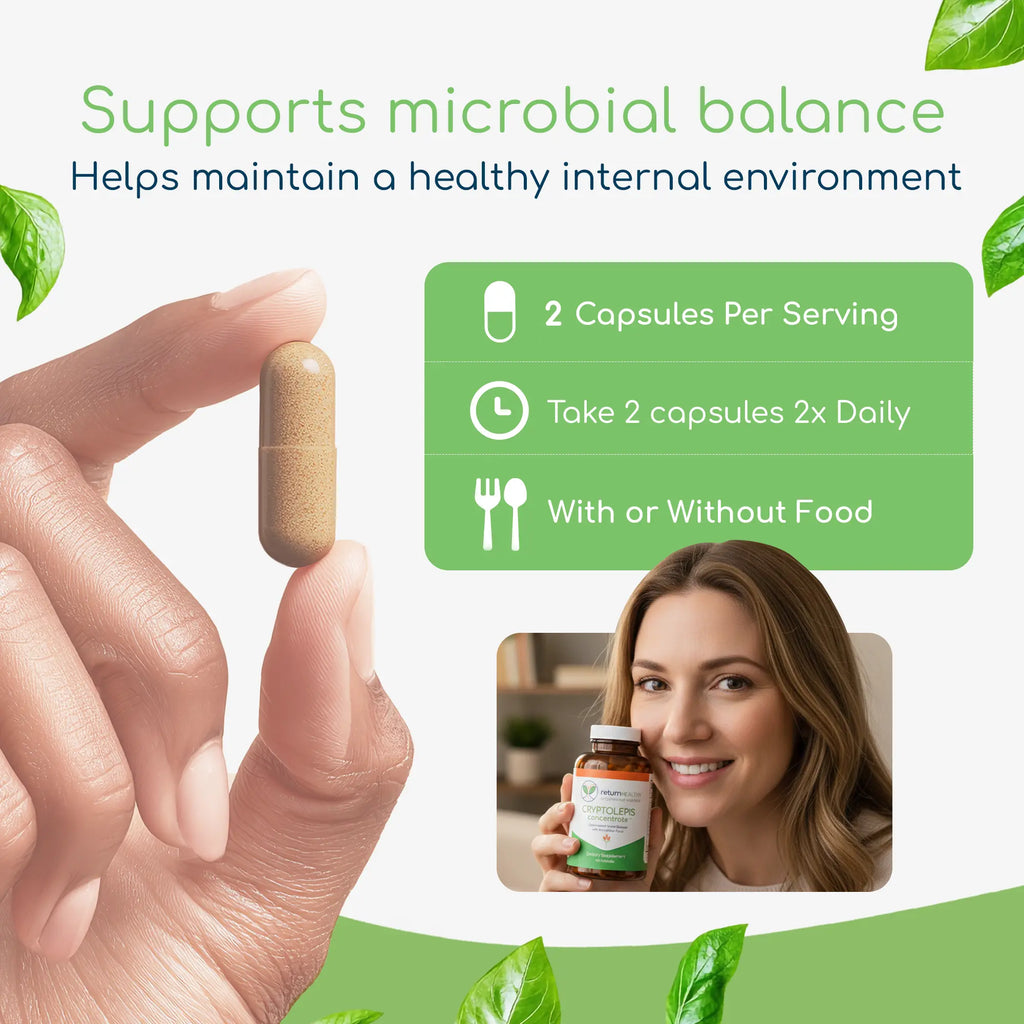 Cryptolepis Concentrate infographic showing how the concentrated extract supports microbial and immune defense.