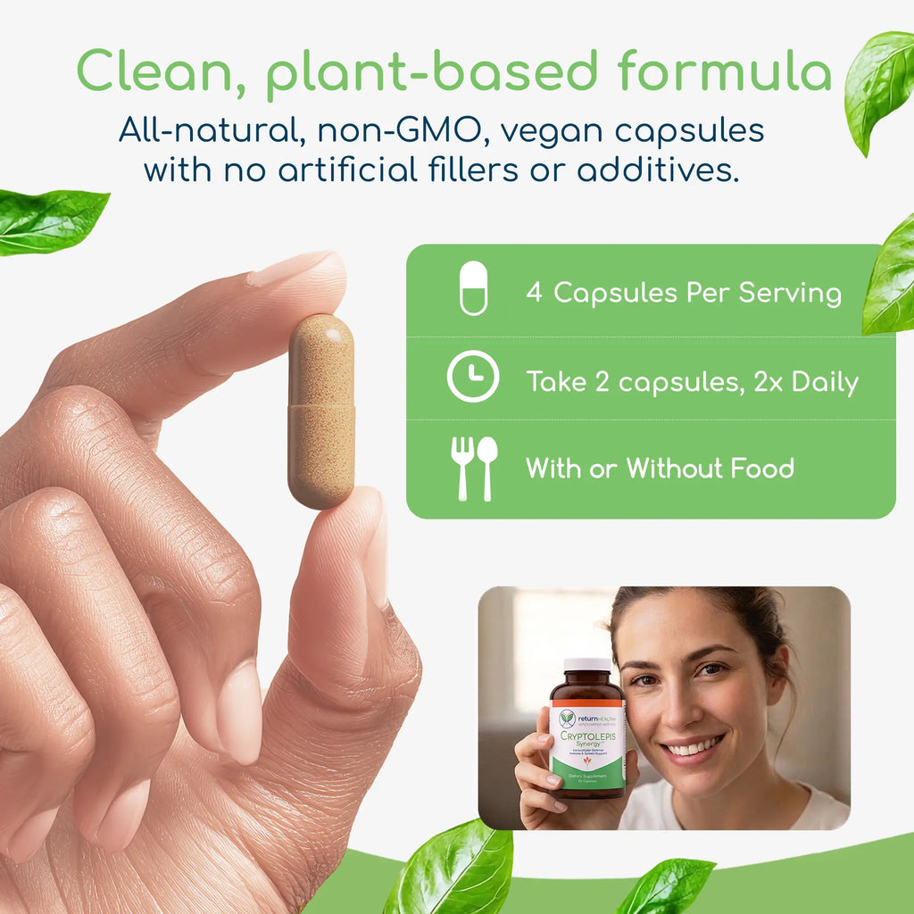 Cryptolepis Synergy infographic showing how the whole-herb formula supports microbial balance and immunity.