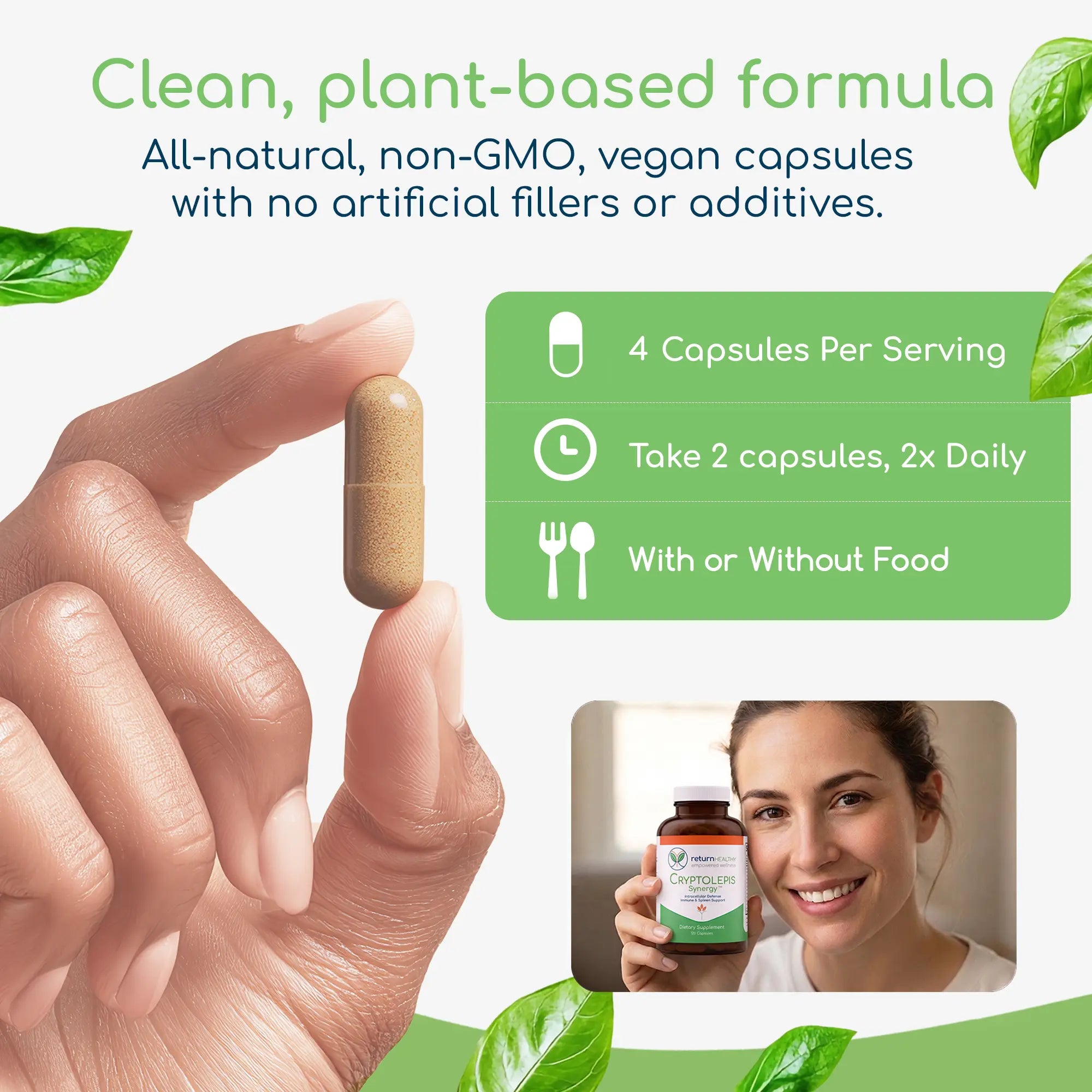 Cryptolepis Synergy infographic showing how the whole-herb formula supports microbial balance and immunity.