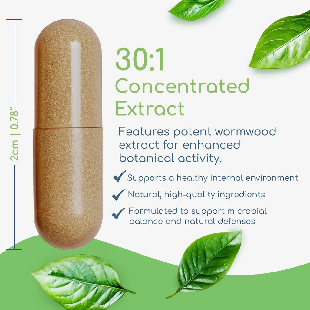 Artemisia Trinity capsule showing size with targeted microbial and digestive support benefits