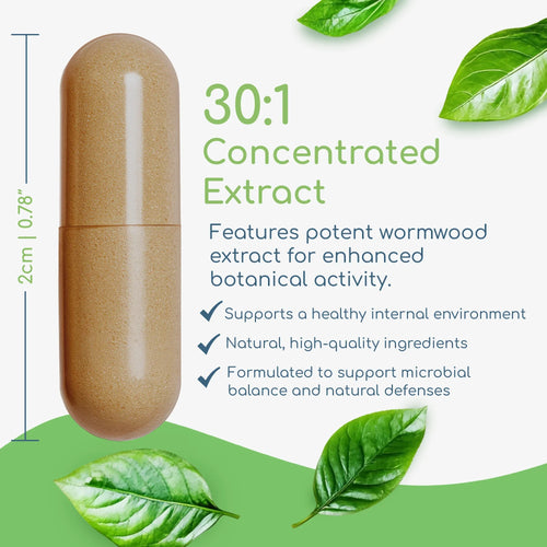 Artemisia Trinity capsule showing size with targeted microbial and digestive support benefits