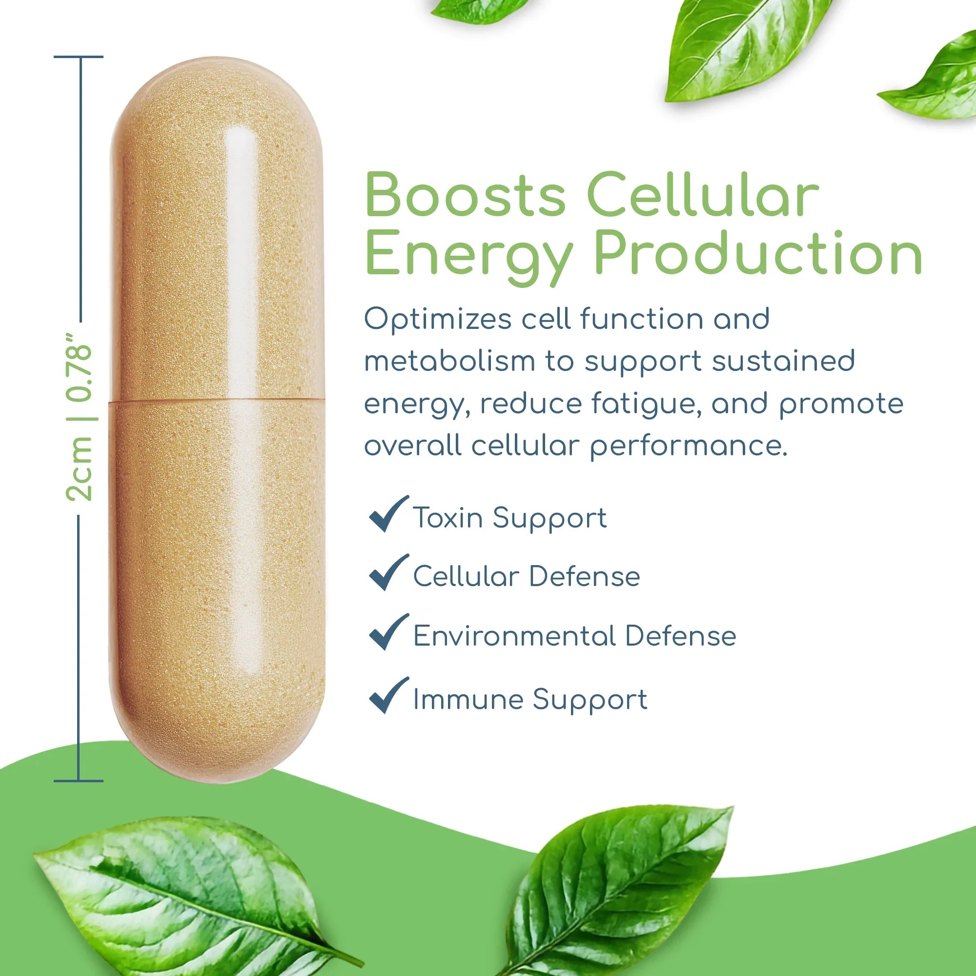 Cell Nutrients capsule showing size with cellular energy, metabolic repair, and nutrient foundation benefits