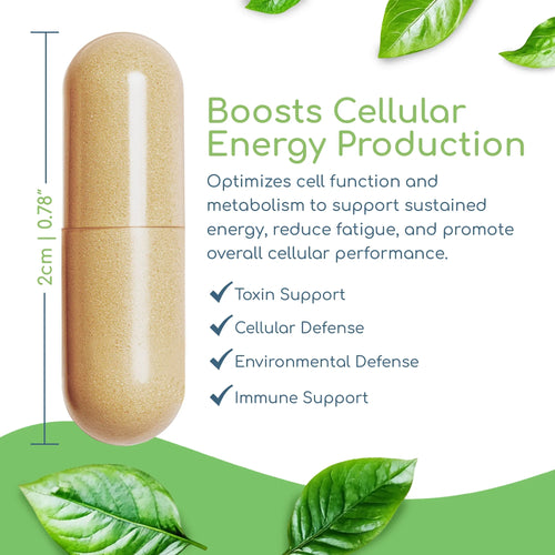 Cell Nutrients capsule showing size with cellular energy, metabolic repair, and nutrient foundation benefits