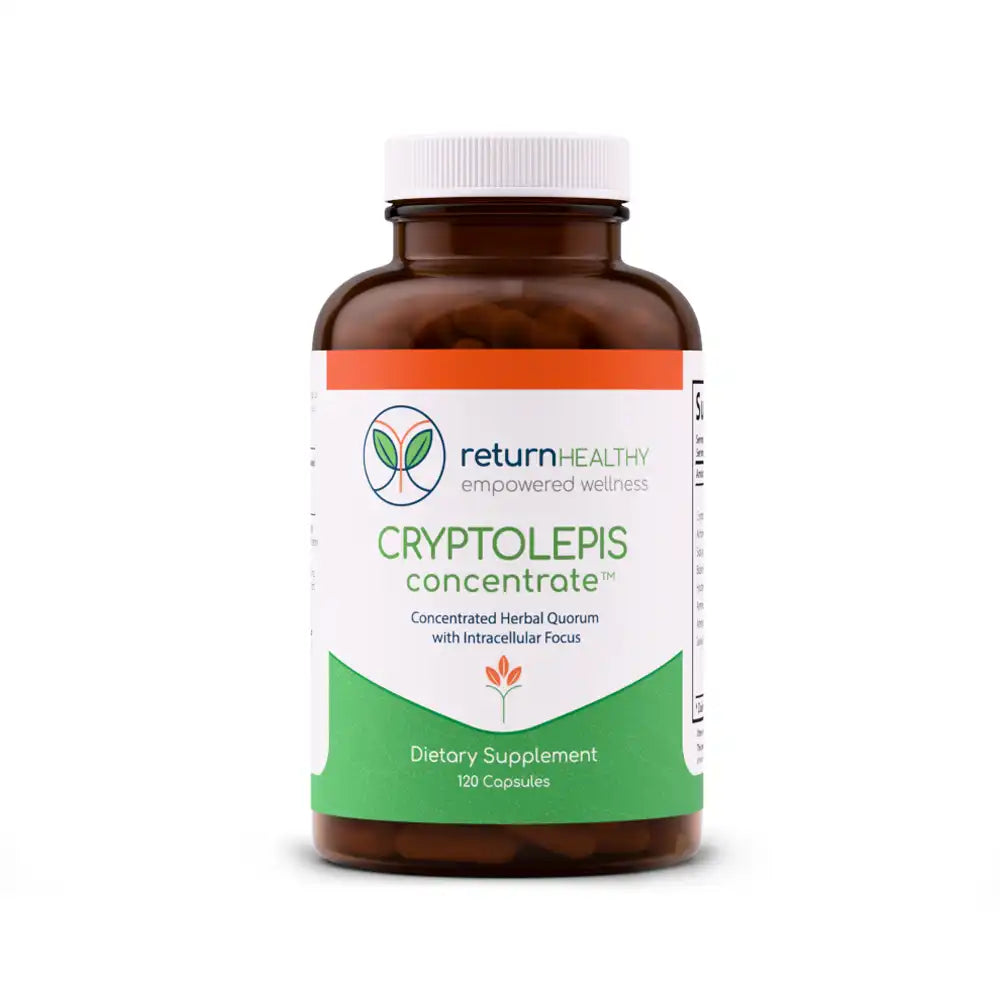 Return Healthy Cryptolepis Concentrate supplement bottle, an extract-based formula for microbial and immune support.