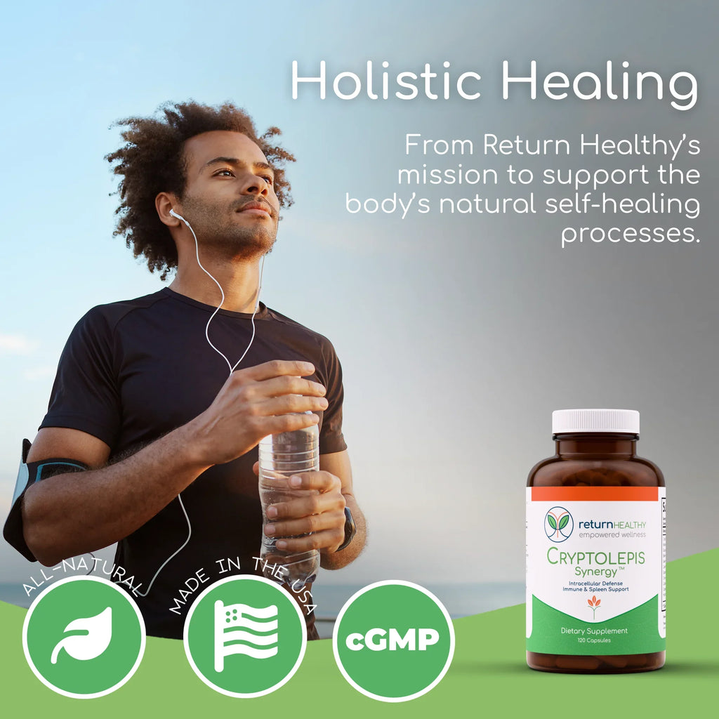 Cryptolepis Synergy benefits - whole-herb microbial support, immune defense, and daily resilience