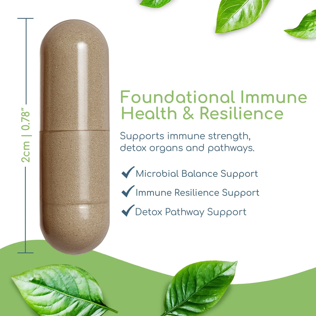 Cryptolepis Synergy capsule showing size with whole-herb microbial and broad-spectrum immune support benefits