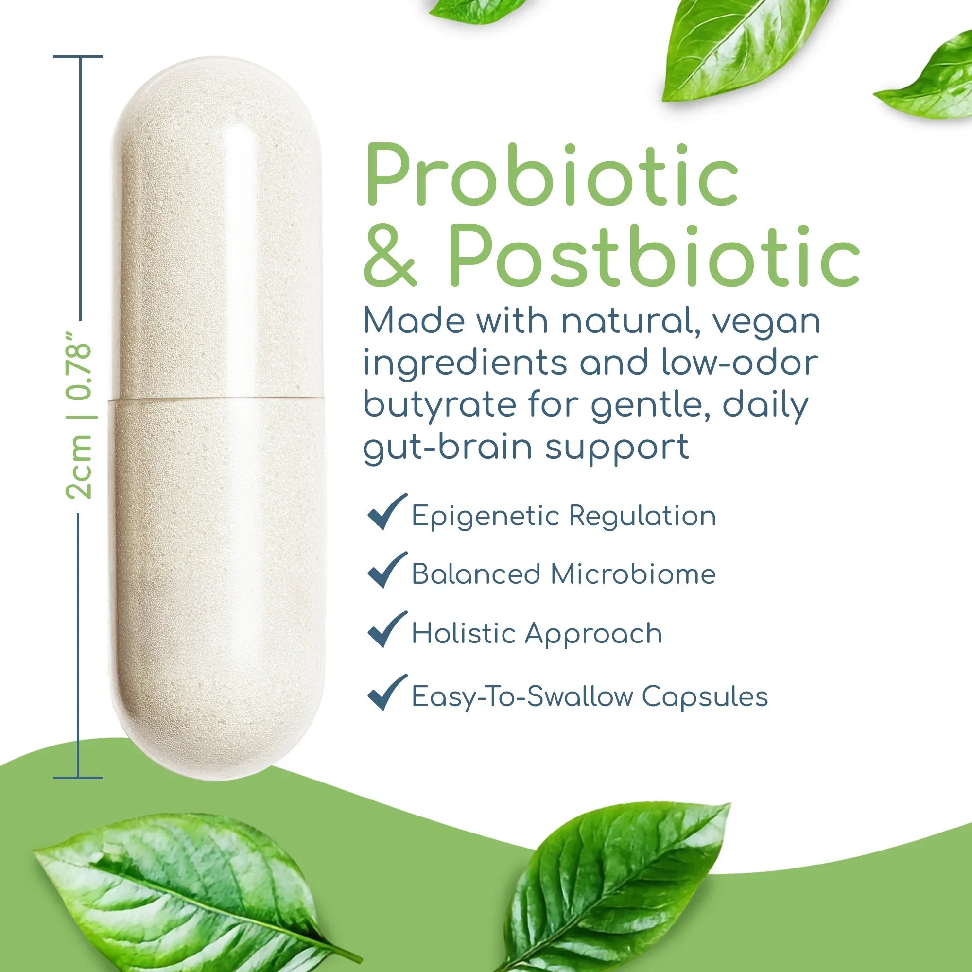 Double Butyrate capsule showing size with gut lining, digestive balance, and microbiome resilience benefits