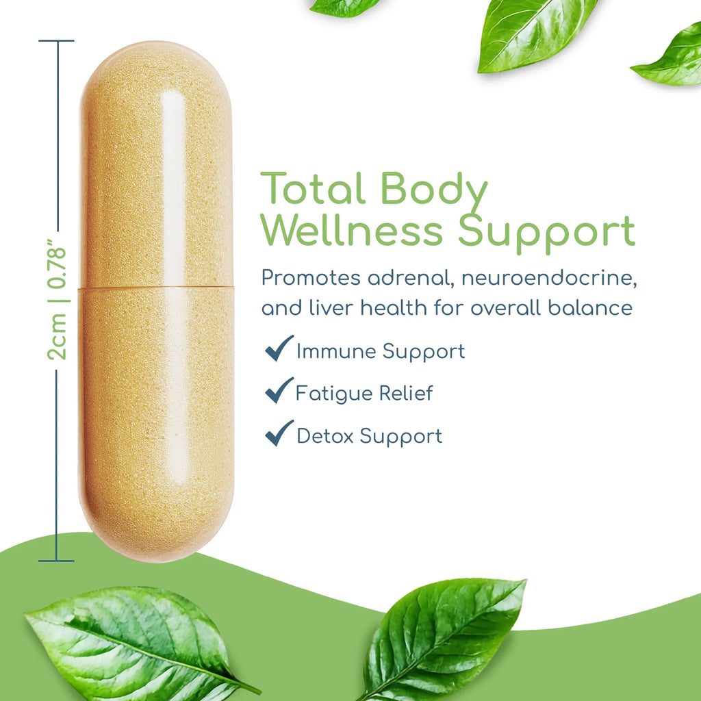 Foundation Formula capsule showing size with daily stress resilience, immune, and detox pathway support benefits