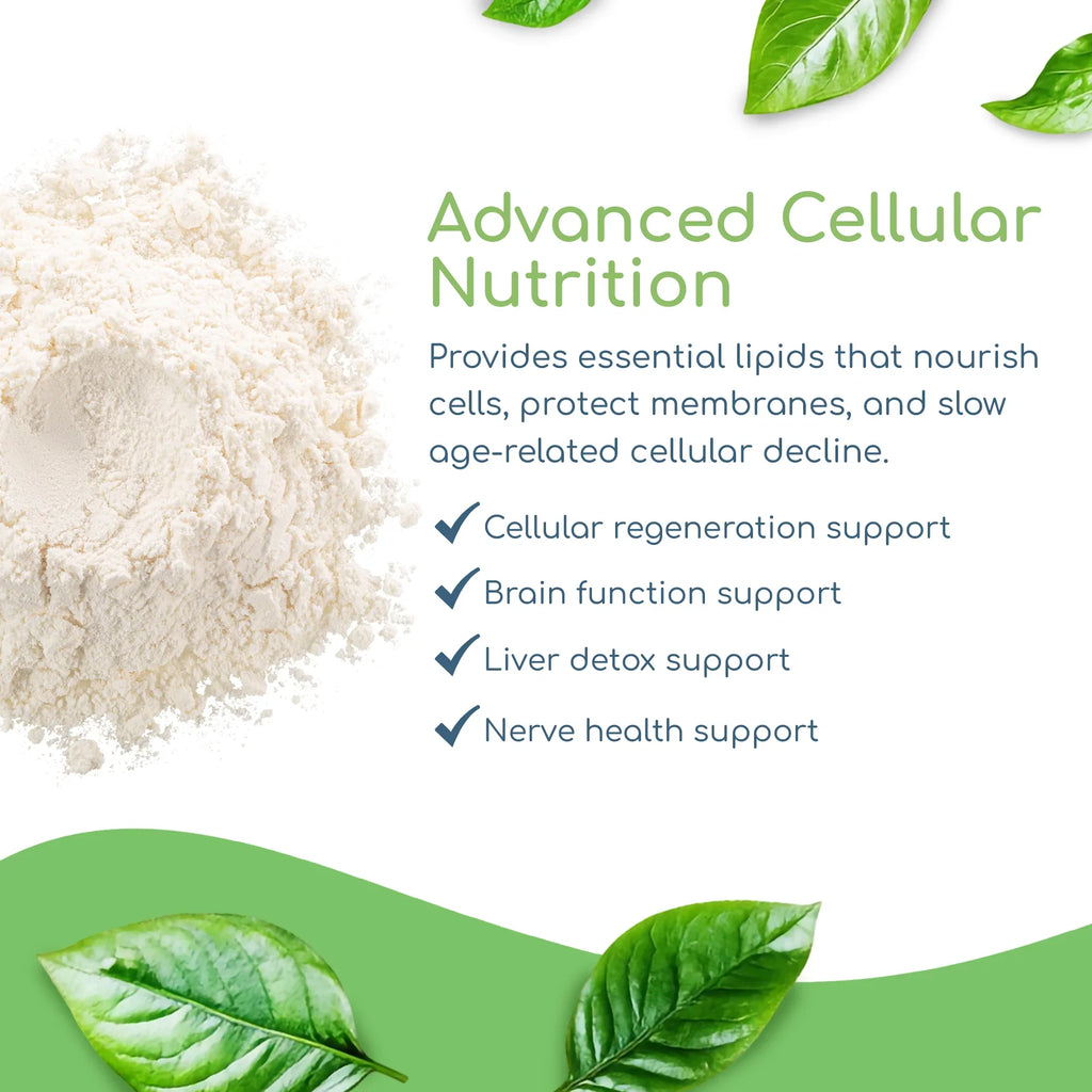 Phospholipid Synergy powder showing cell membrane and cellular energy support
