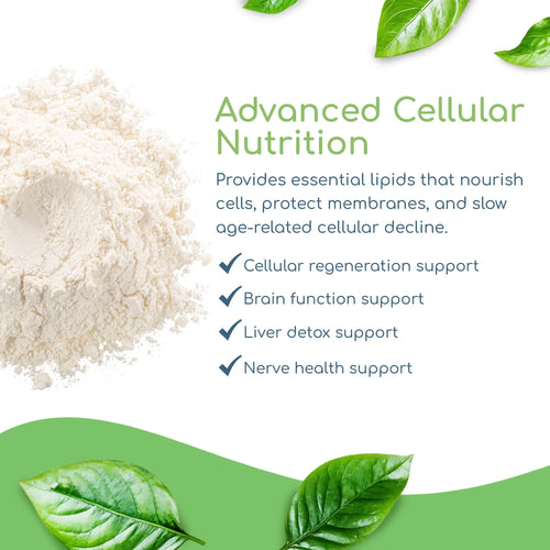 Phospholipid Synergy powder showing cell membrane and cellular energy support